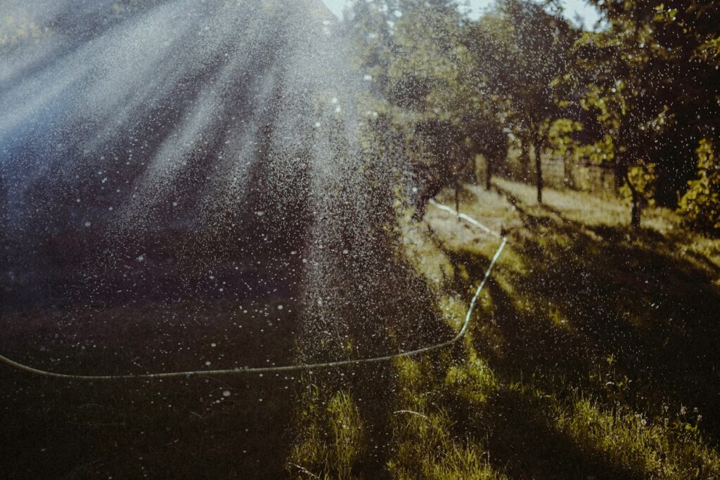 the sun shines through the trees in a field